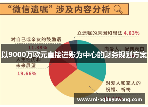 以9000万欧元直接进账为中心的财务规划方案